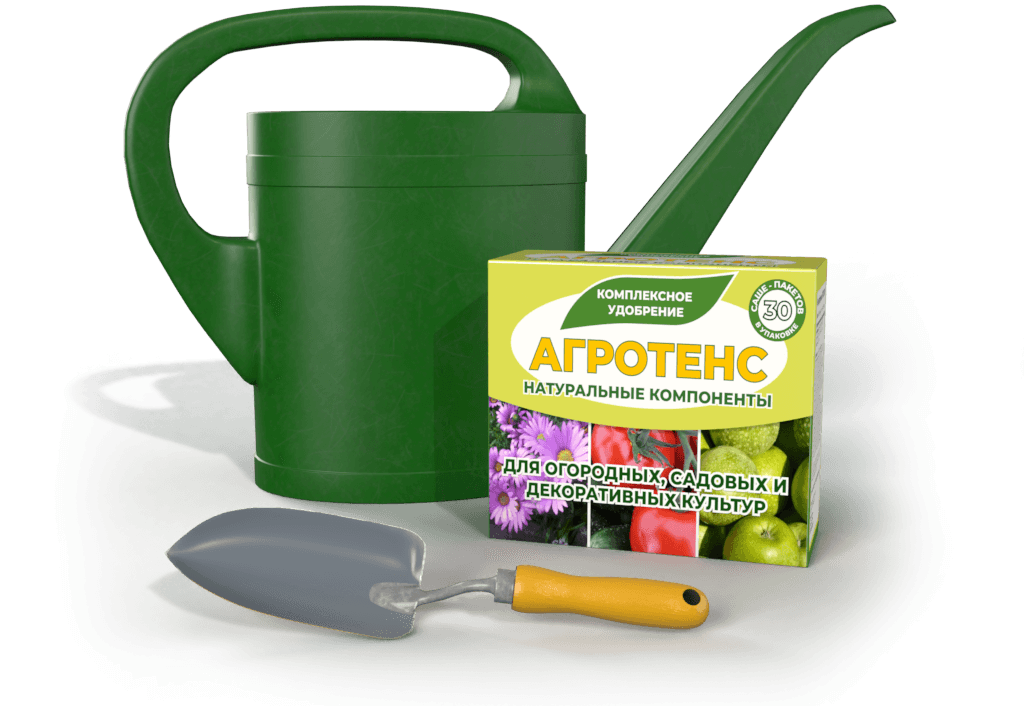 совок